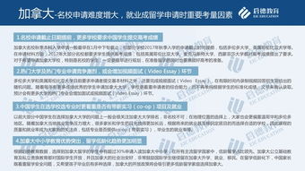 转型与突围 自费出国留学中介服务的未来方向评述