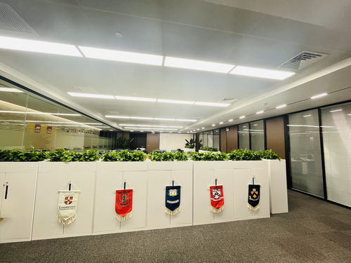 2026年海外留学机构哪家便宜,为你盘点性价比高的出国留学服务机构